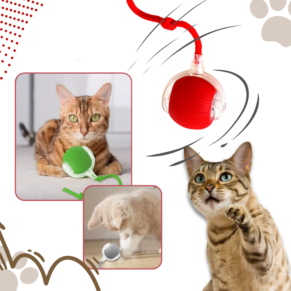 Interactive self moving ball toy for pets
