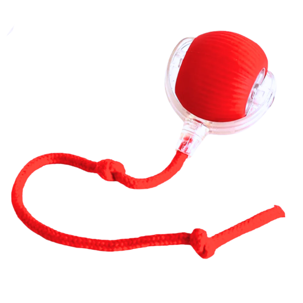 Interactive self moving ball toy for pets