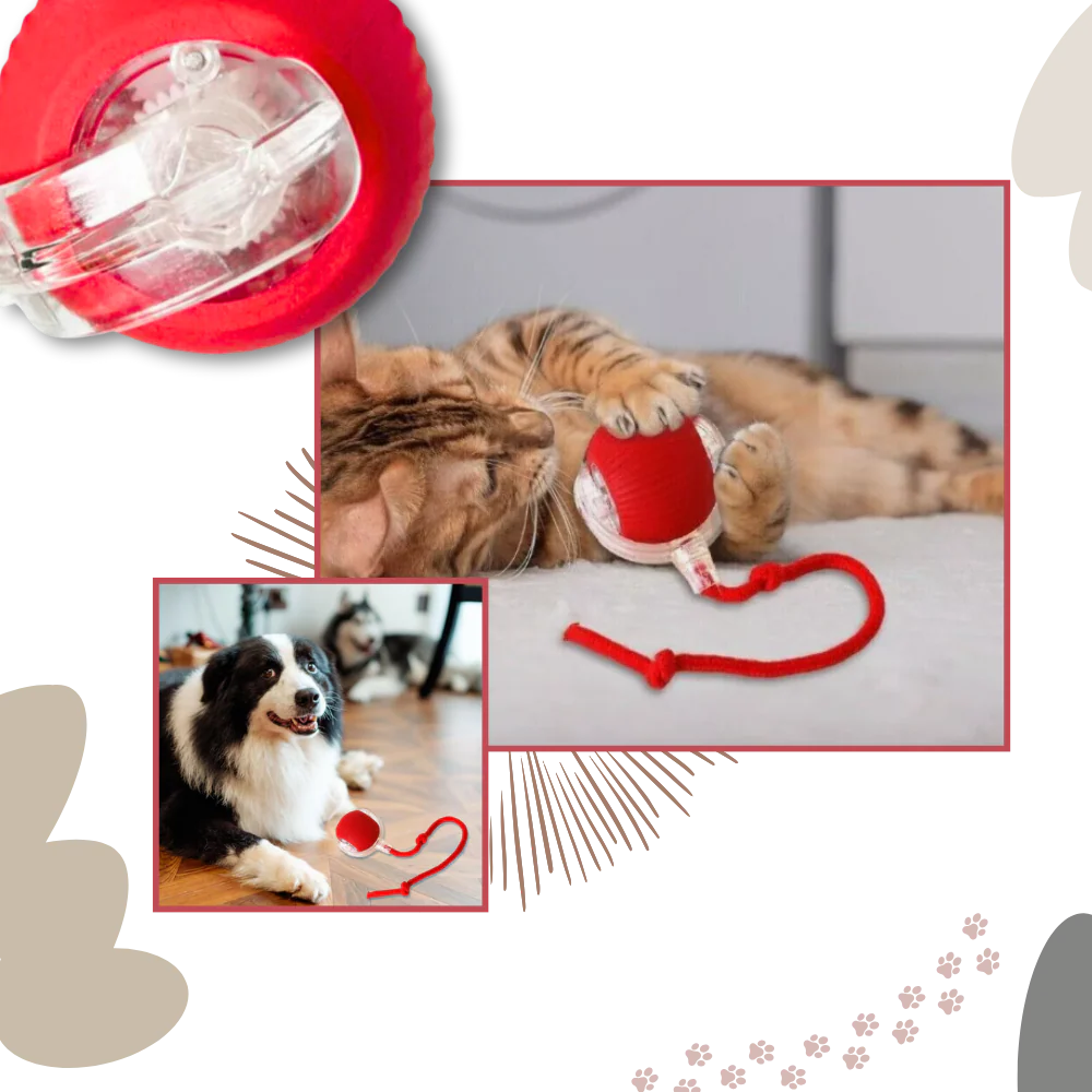 Interactive self moving ball toy for pets