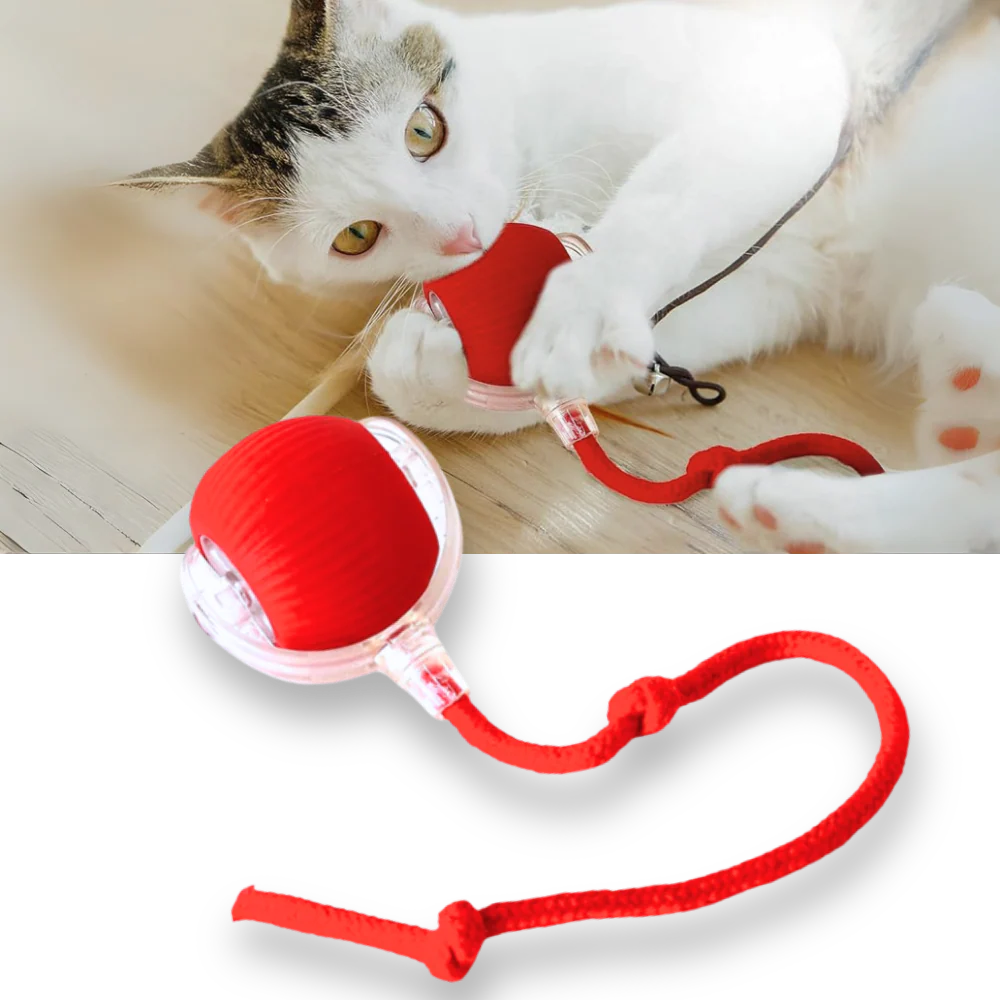 Interactive self moving ball toy for pets